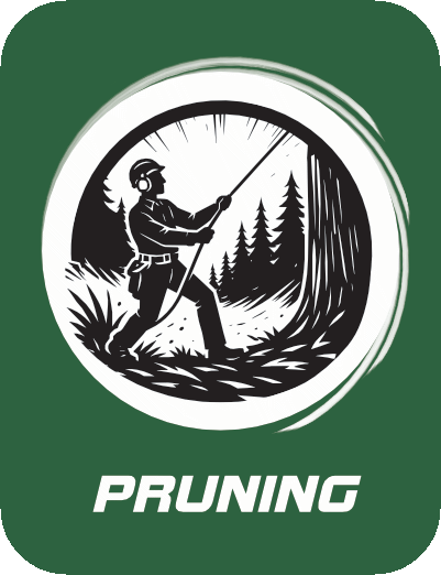 Tree pruning and branch removal application for portable winch