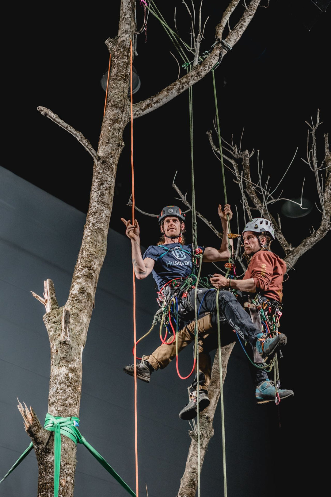 Deutsche Baumpflegetage