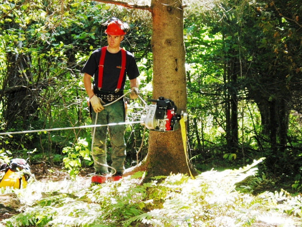 SYSTÈME D’ANCRAGE POUR ARBRES ET POTEAUX AVEC RONDELLES DE CAOUTCHOUC