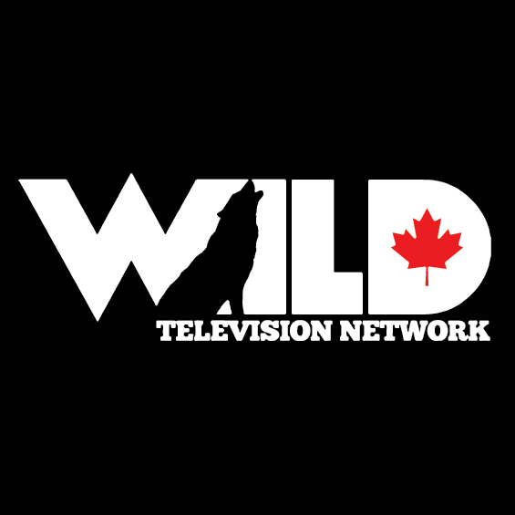 Wild TV logo 01