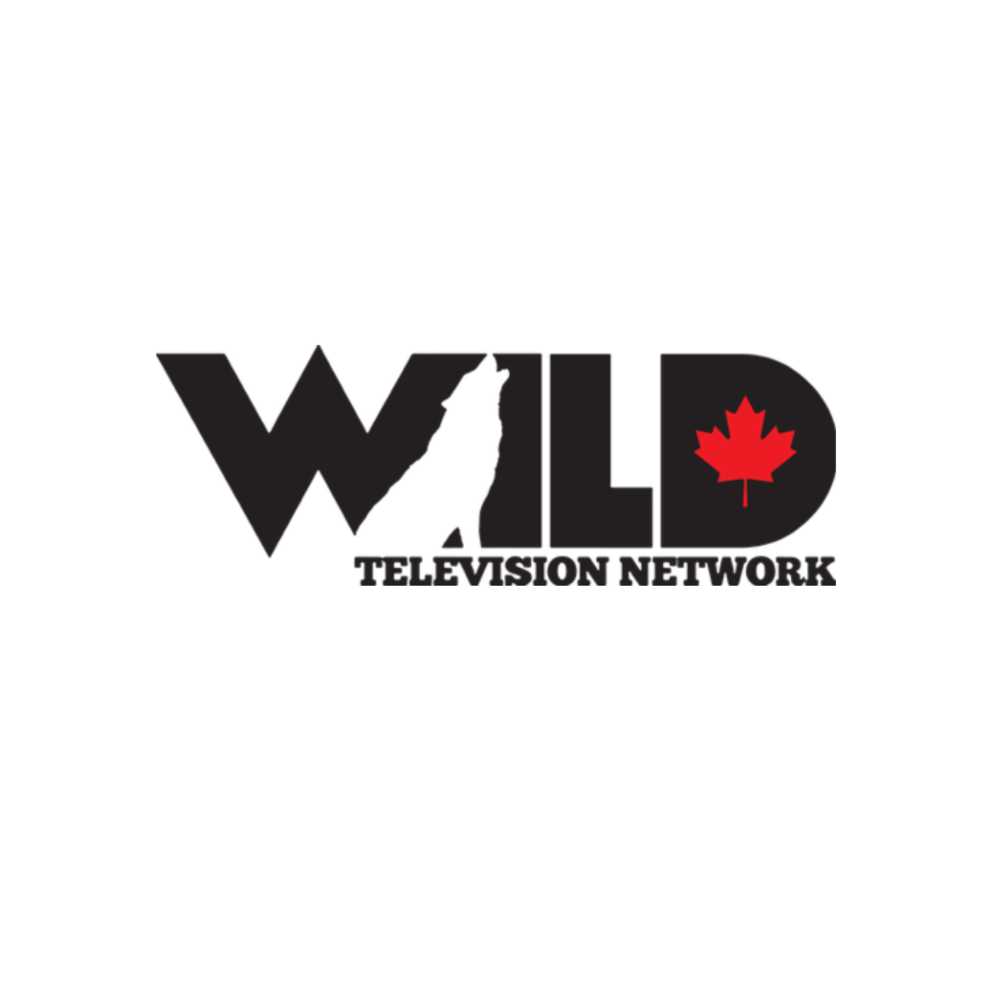 Wild Tv Logo