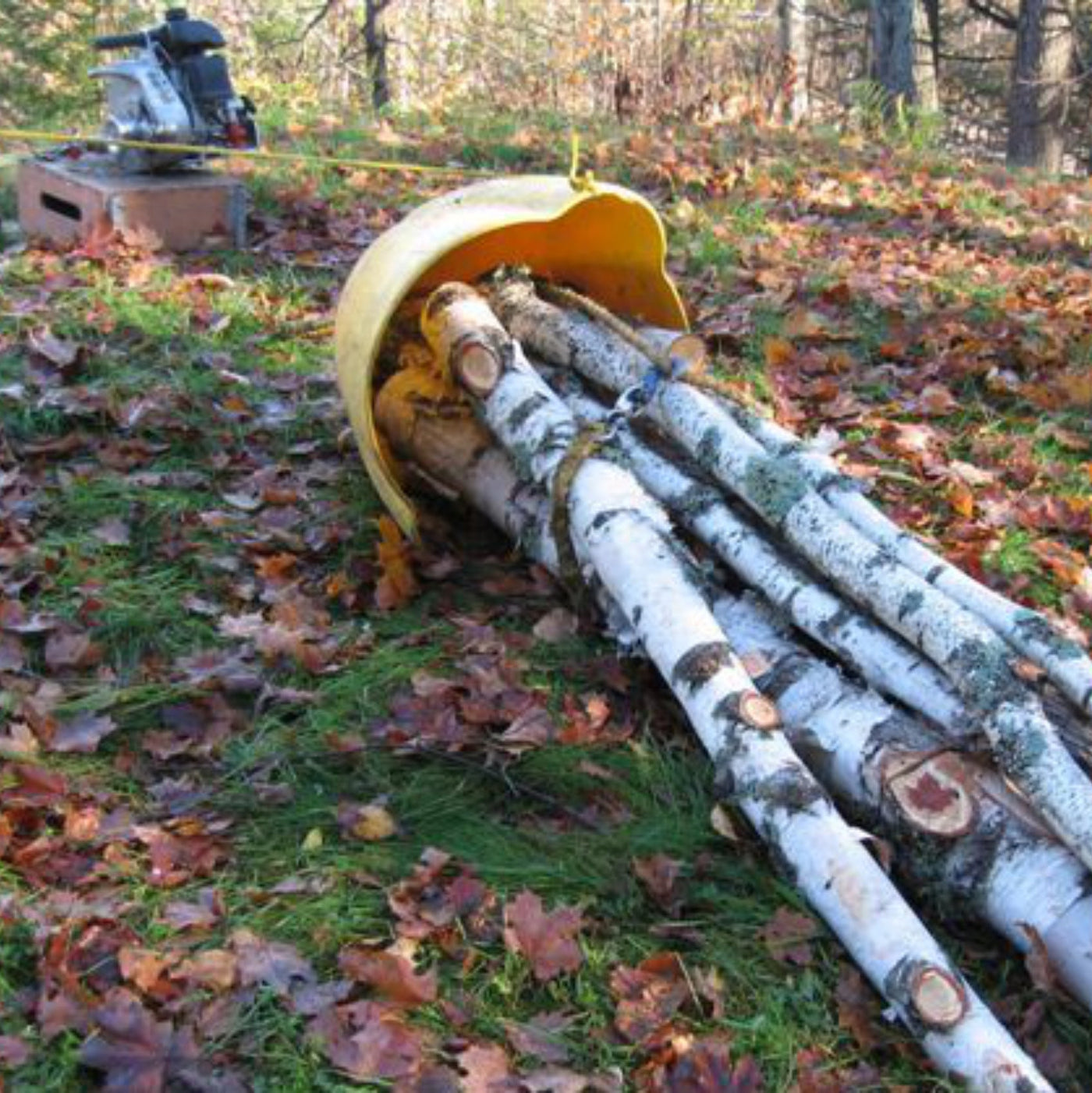 Forestry skidding cone